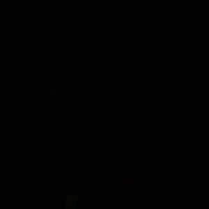 Meet your Posher, Caleb